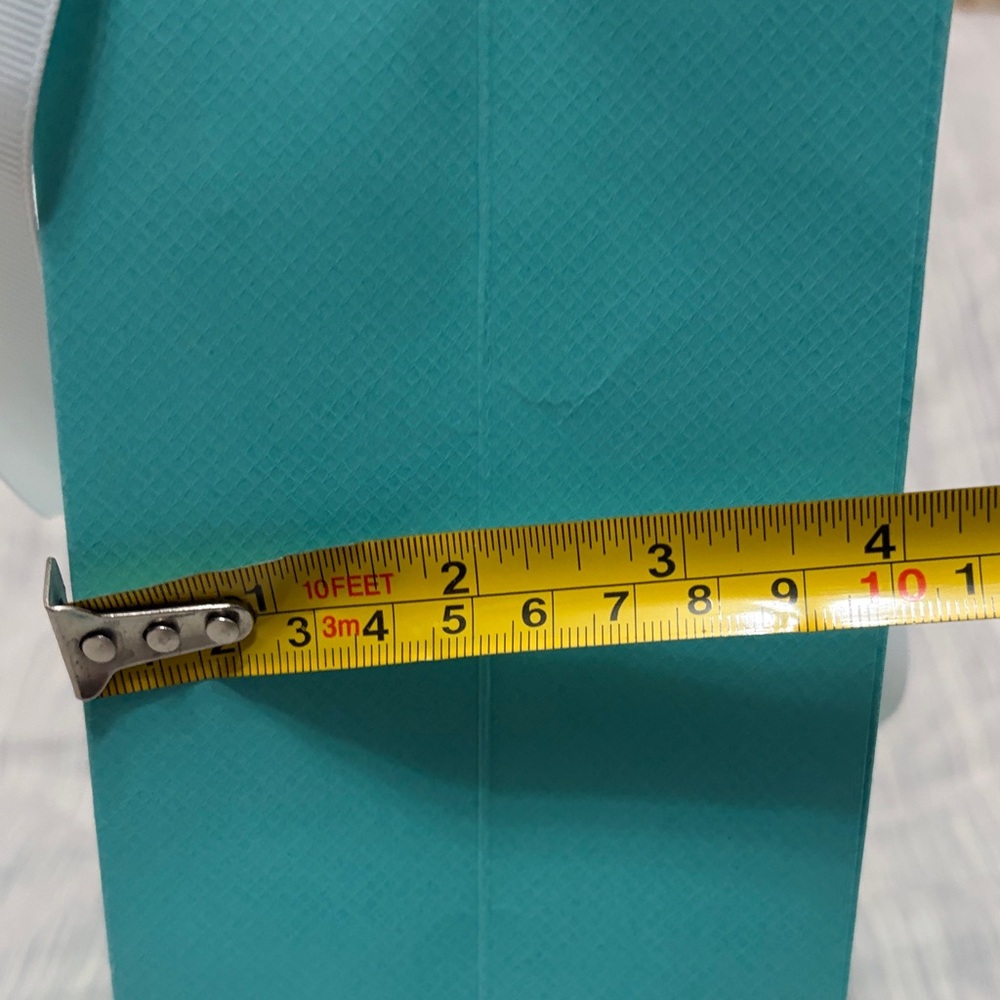 Tiffany & Co. Robin's Egg Blue Gift Bag with White Ribbon - Picture 4 of 5